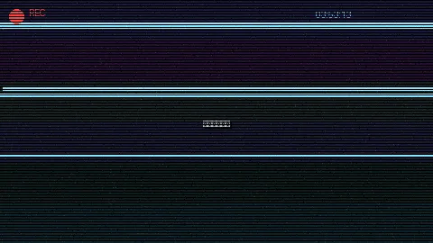 周末随拍记录 - 荔枝树下热烈岛 原创视频